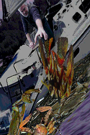 There were not many of them, but they were so fast...